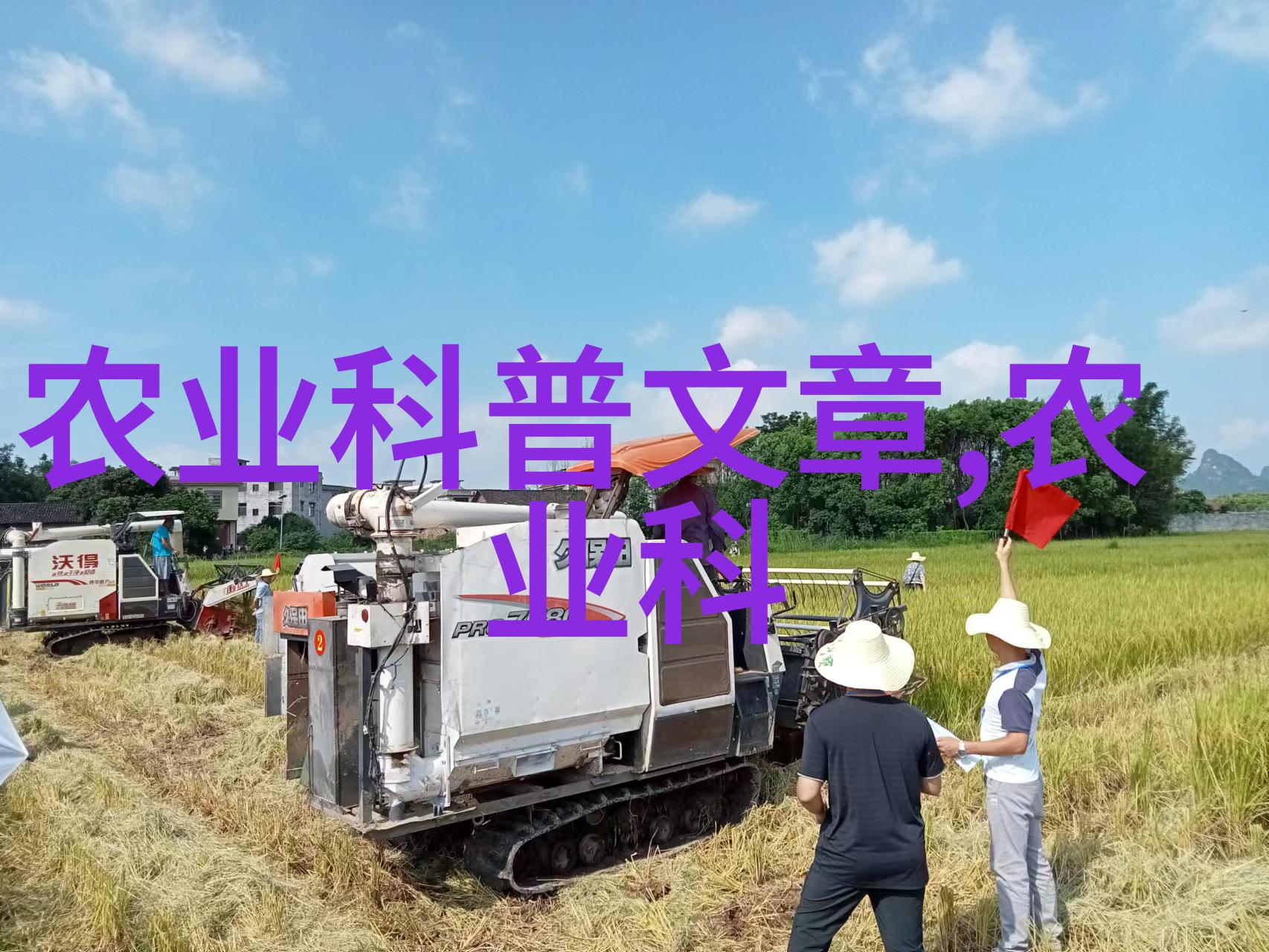 农事赚钱秘籍种植这些短周期作物最富裕