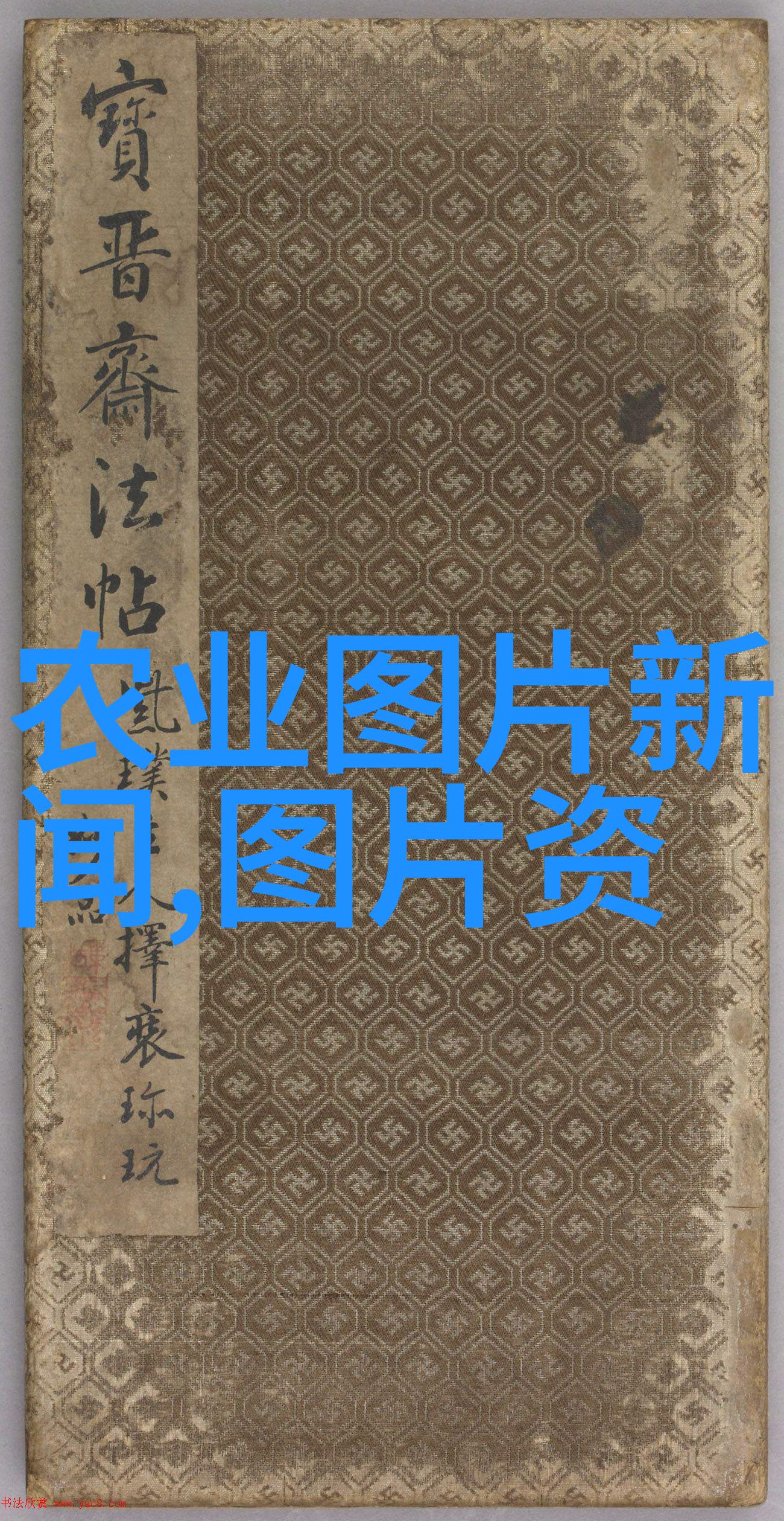 古方奇珍掀开当年医家宝藏药材的神秘面纱