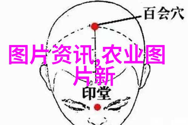 不不同的命运不能共存解析冤家蔬菜背后的科学原因