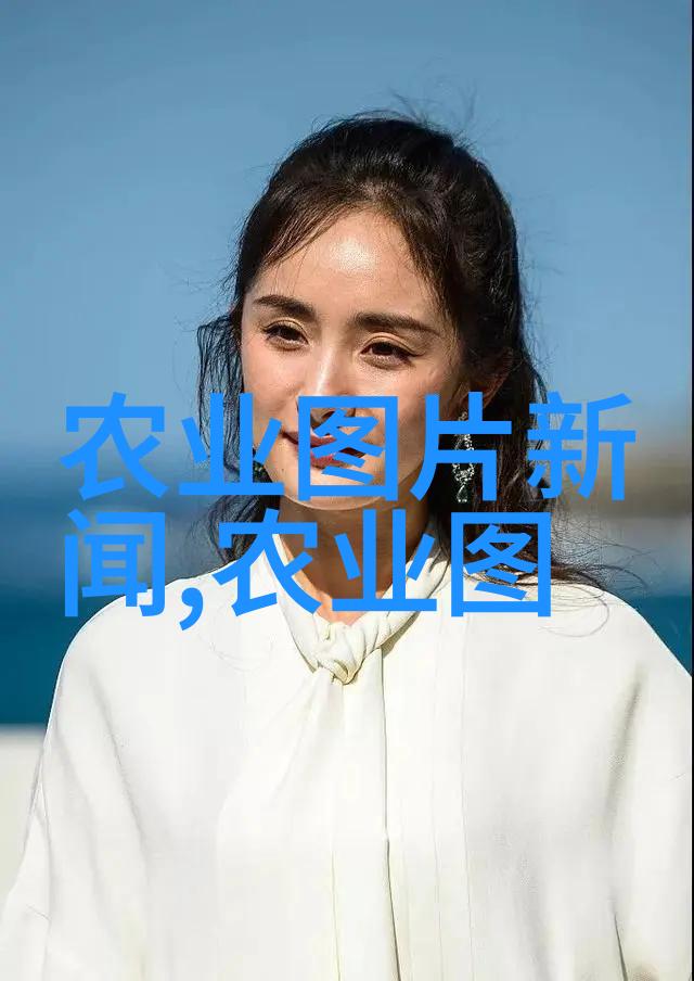 园艺资讯 - 60公分广玉兰的价值与市场价格探究
