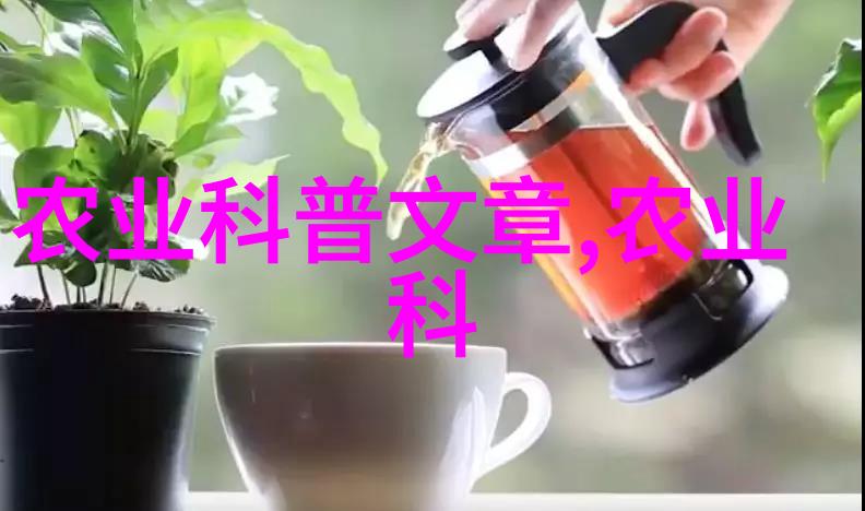 水果大冒险种子图片的秘密花园