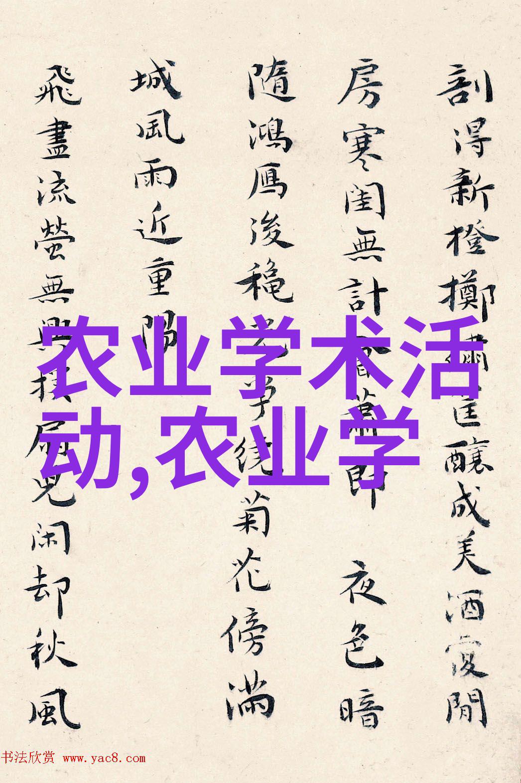 从哪里开始茶的历史故事