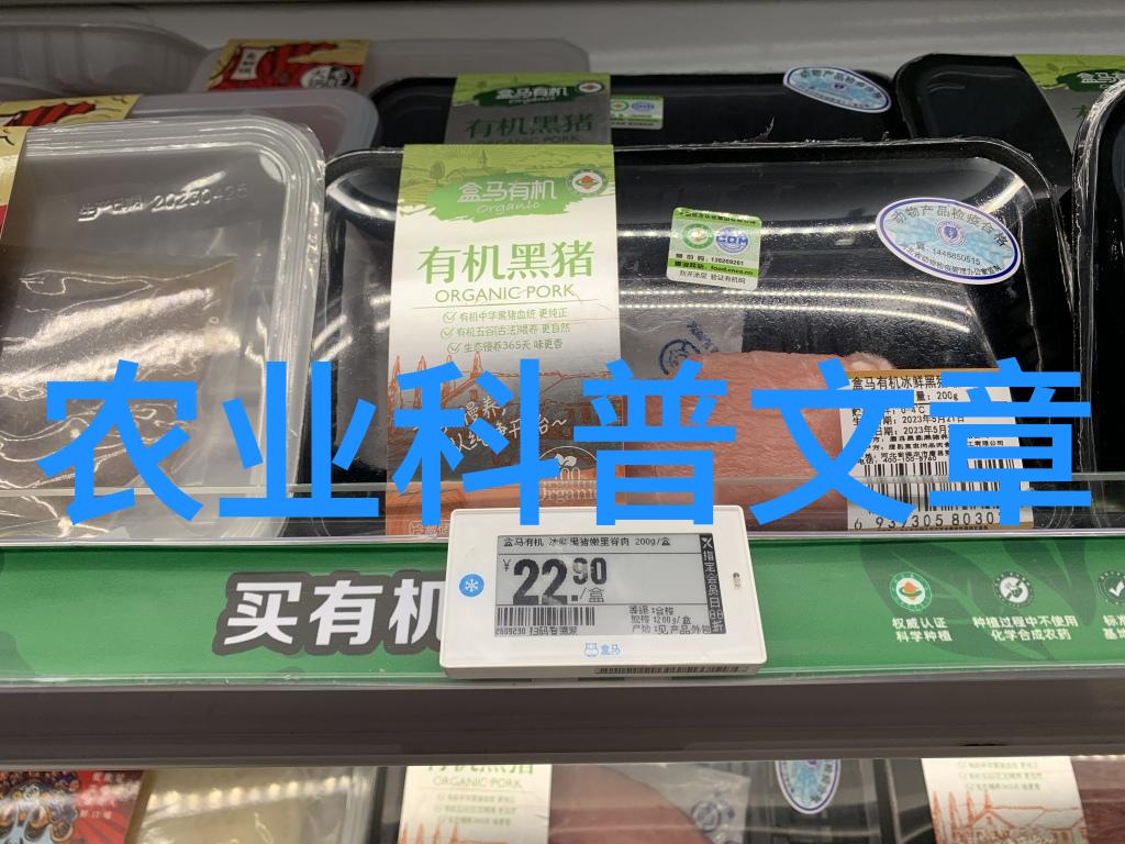 土豆狗熊和亚伯拉罕林肯一个照相机和拟补班二次元的无聊故事