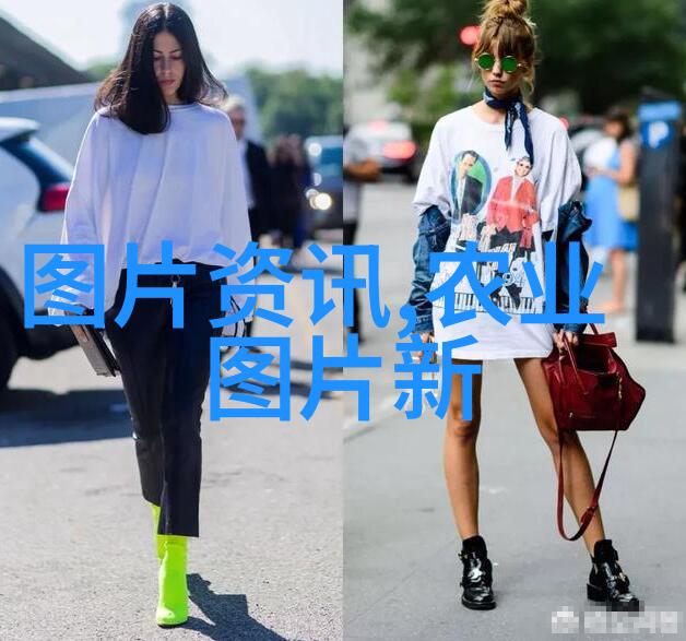 空房变金库探索空置房屋种植致富新模式