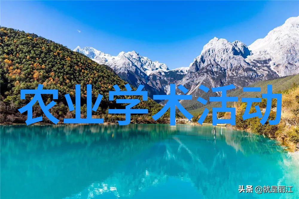 草莓99蜜瓜假进口水果自由路上还有哪些坑