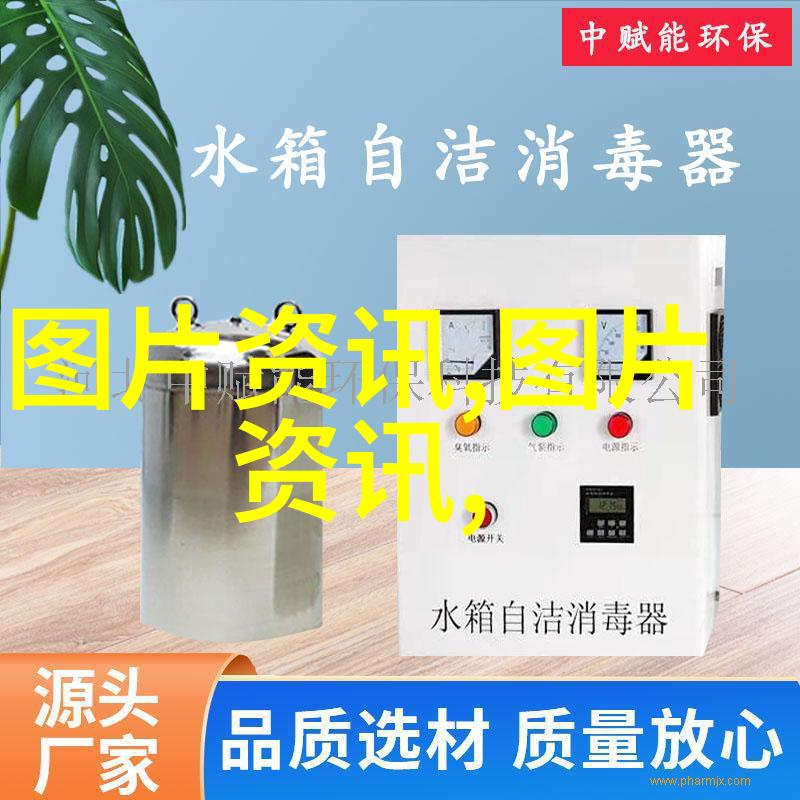 一年种菜时间表-春季播种与夏季管理的艺术