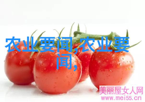 喝茶知识咱们来聊聊这壶热水里的秘密