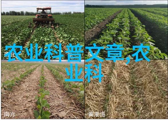亲子园艺活动精选教孩子们一起享受培育简单可爱盆栽水果的心情瞬间