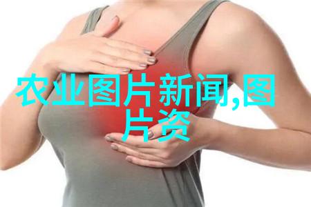 健康生活的茶香揭秘十大养胃佳肴