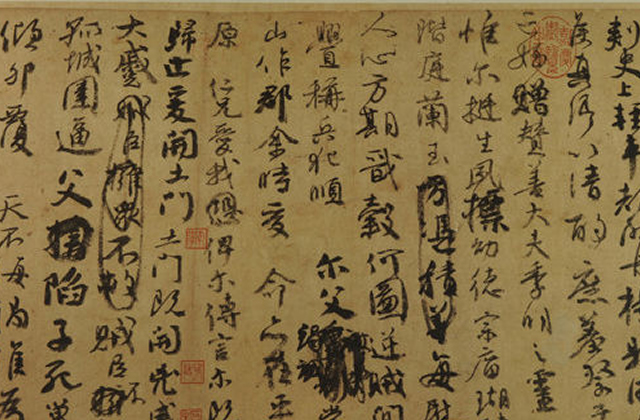 跨越季节一年四季都能保持活力有什么秘诀可以让我的小植株不仅存活还能繁荣成长吗