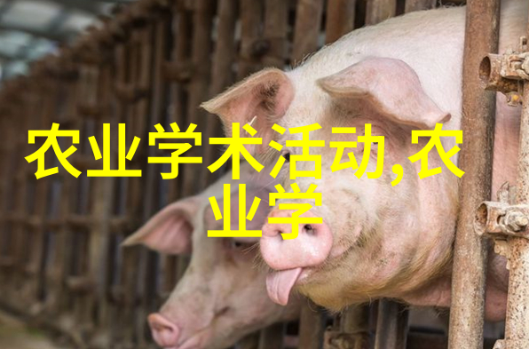 重生宠儿帝君的独爱
