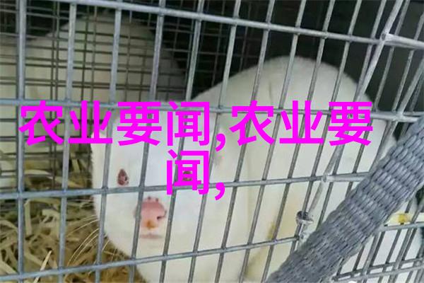 未来种植什么最赚钱揭秘那些让你意想不到的高收益之作