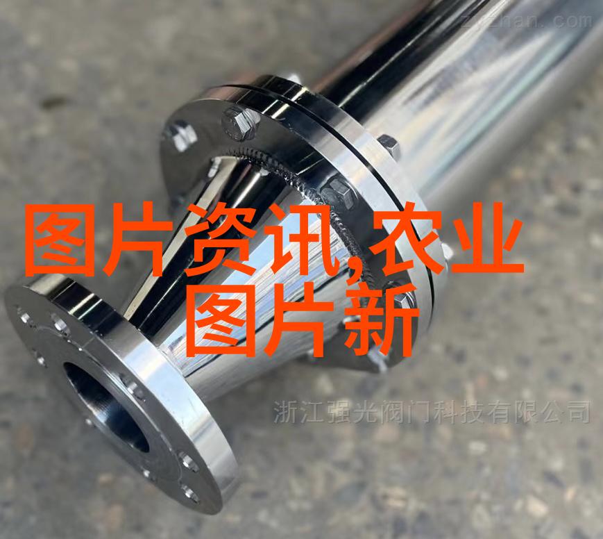 免费供苗种植回收合作为城市绿化的新动力