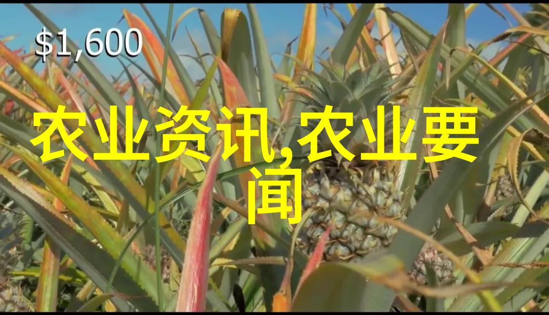 民法典与生活的纽带如何让法律更贴近百姓
