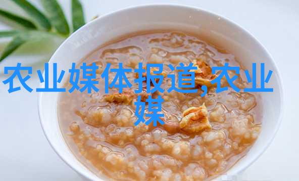 养兔-春日小兔子如何在家中温馨养育这些可爱的小动物