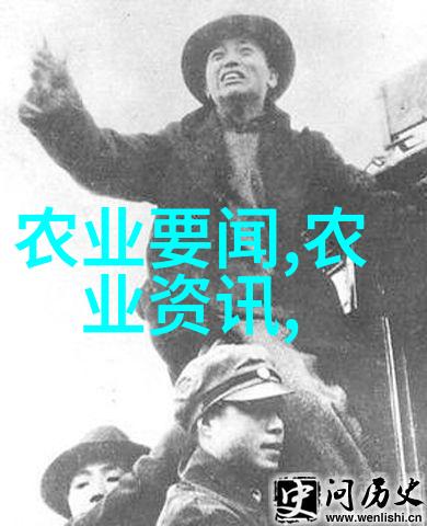超市购物小技巧挑选新鲜香菇不再难了