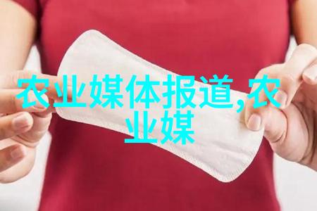 蔬菜种植时间表春季至秋季的栽培指南