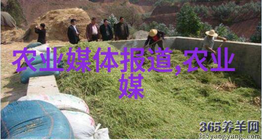 无需授粉的阳台水果种植智慧与美味秘籍