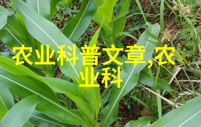 斗南鲜花批发平台之多肉特点娇艳独秀与健壮可靠对偶展现