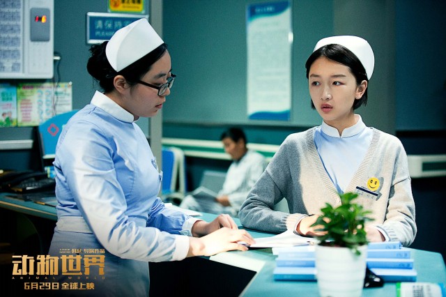 枯枝满堂的福树