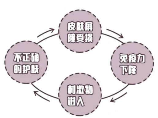 生产线上的金银鳕深入了解现代工厂化养鱼流程