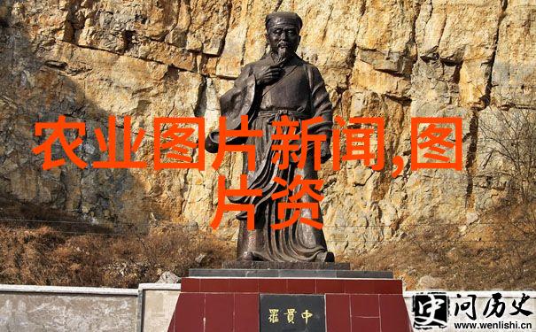 2022年药材价格预测哪些中药材将迎来上涨潮流