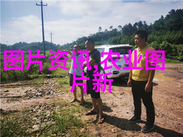 禽类养殖资讯从蛋鸡到家禽掌握全方位的养殖知识