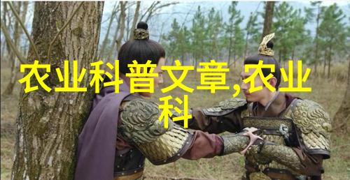 诗经 小雅-清风明月解读小雅之美