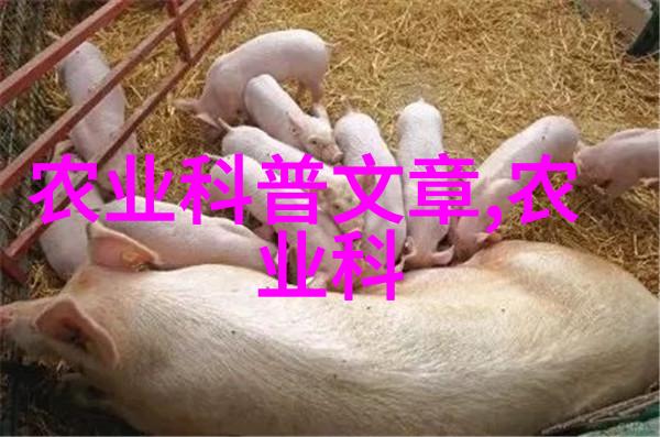 探寻中华田园之宝生猪品种的神秘与魅力何在