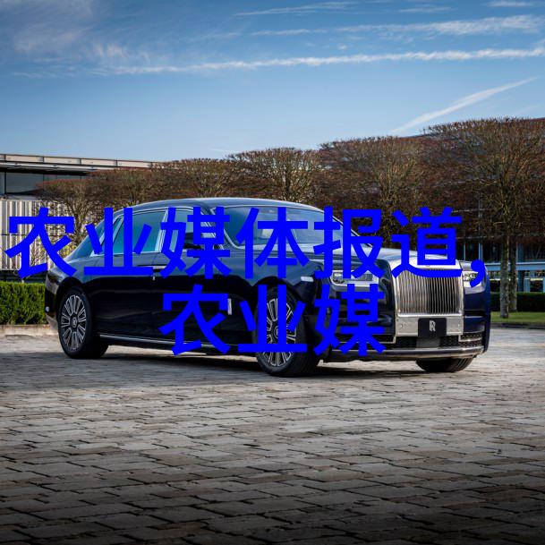 氮肥的生长魔法如何让植物焕发活力