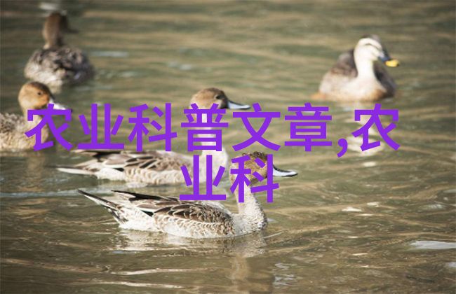 种子的秘密花园精选水果图片展示