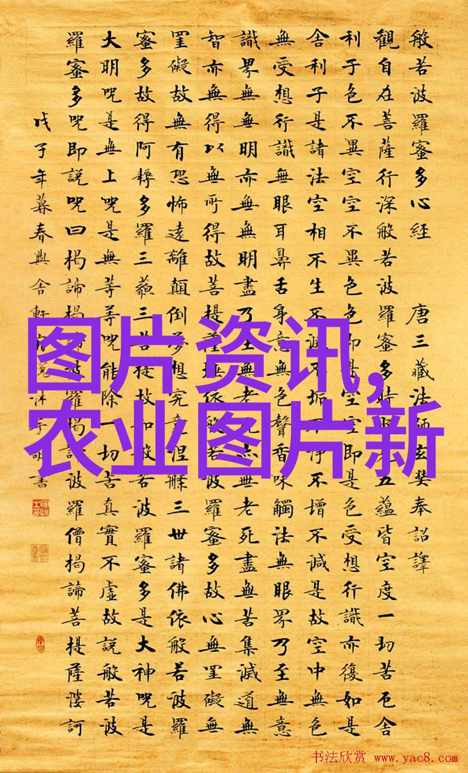 应对新冠疫情中央防控二十条措施详解