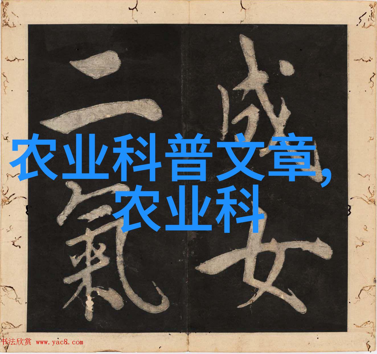 市区通勤新现象公交车尾排霸主群体引发热议