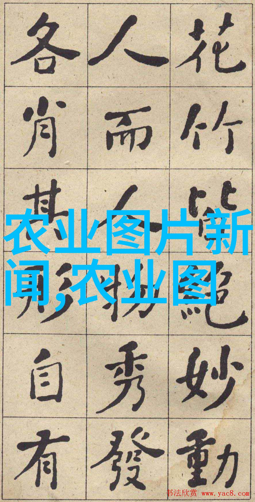 秋日收获葡萄成熟时的无价之宝