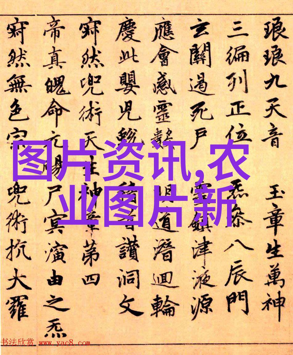 种植-未来市场趋势最有前景的作物选择
