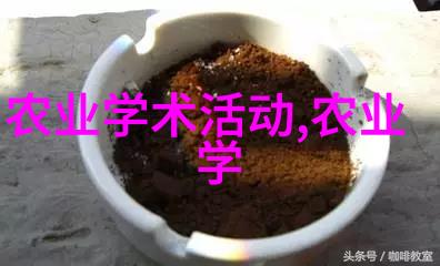 花卉种子播种方法-精准播种揭秘花卉种子的最佳生长技巧