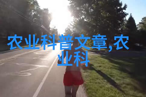 蔬菜百科绿色巨人中隐藏的秘密有哪些