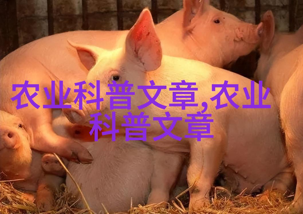 图像描述
