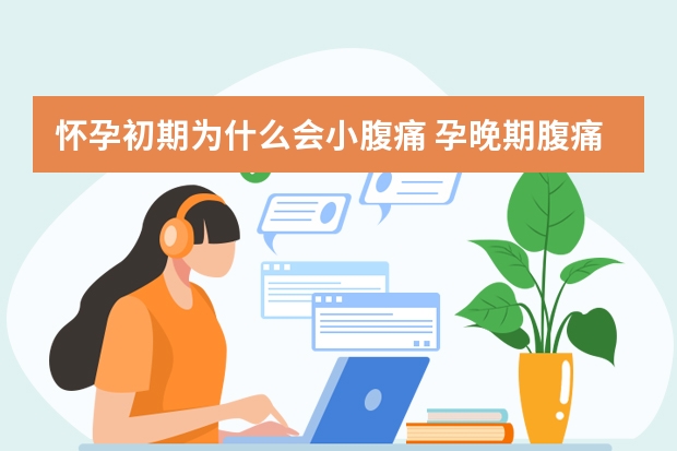 中药材种植基地网络化发展的新趋势探究
