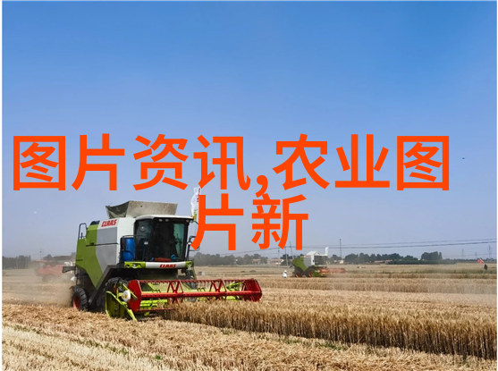 2023年中蜂养殖视频全览从繁育到蜜蜡的完整指南