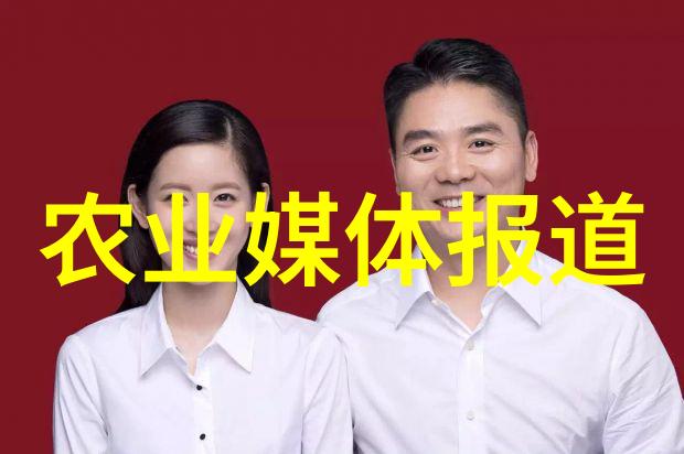 地瓜苗-从播种到丰收地瓜苗的成长历程