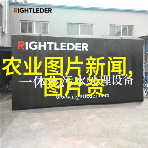 茶叶的秘密揭开它的笑话与香气