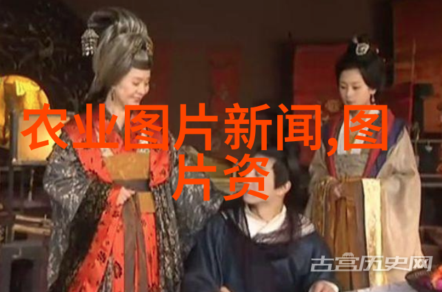 乡村药谱探究中国农村地区300种常见中草药的应用与文化价值