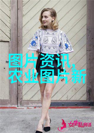 中药材市场新趋势2024年必暴涨的中药材预测