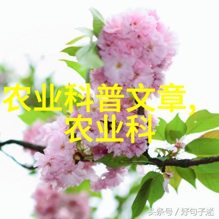 恐怖迷雾中的嬉戏探秘惊悚乐园的诡计与神秘