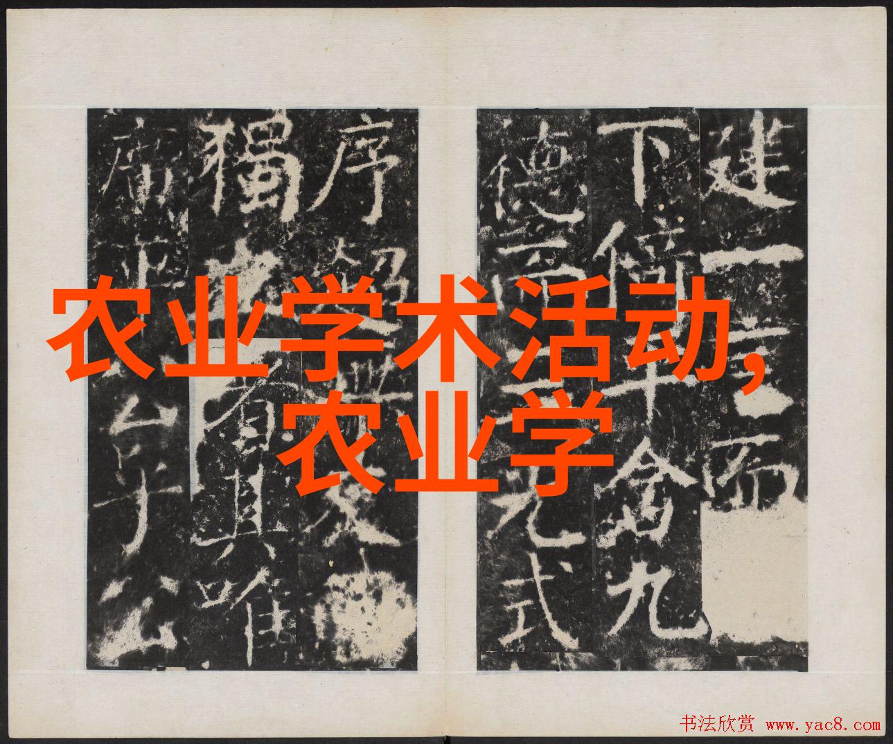土鸡养殖技术视频人工双黄蛋是怎么形成的