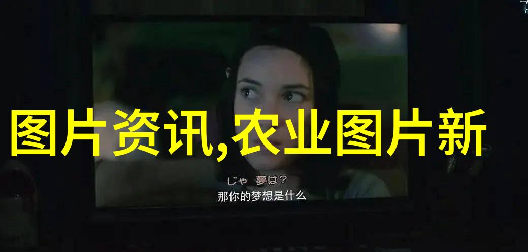 牧场梦想一年的金牛