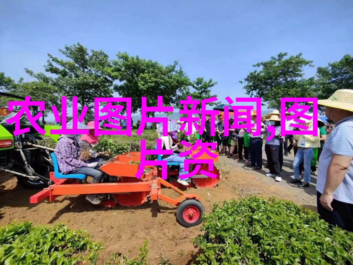 中国农业大学经济与管理学院资助研究生参加学