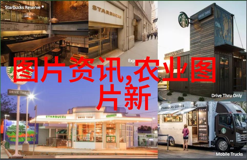 花卉盆栽的艺术与技巧