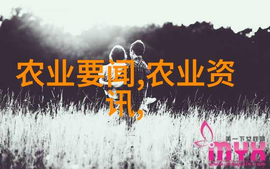 女人喝茶叶的艺术品味与健康之间的平衡